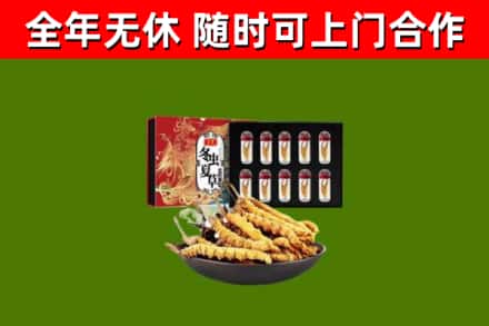 澧县回收冬虫夏草价格